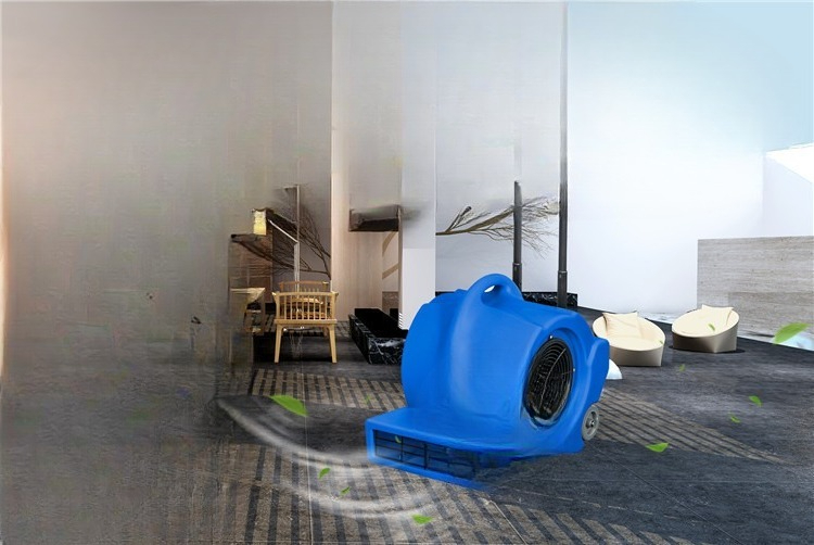 Mobile carpet floor dryer Hote - огляд і ціна Power Tools Mall